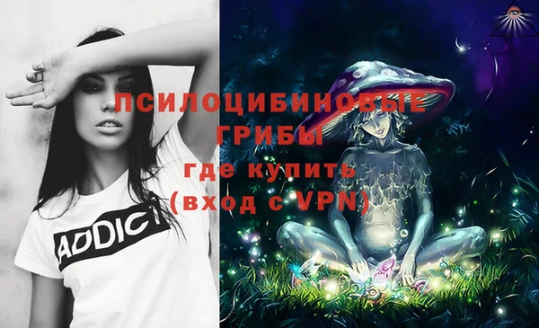 а пвп мука Новодвинск