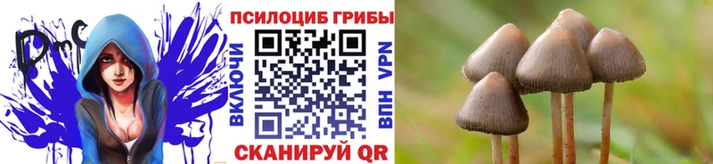 как найти закладки Инсар Галлюциногенные грибы GOLDEN TEACHER